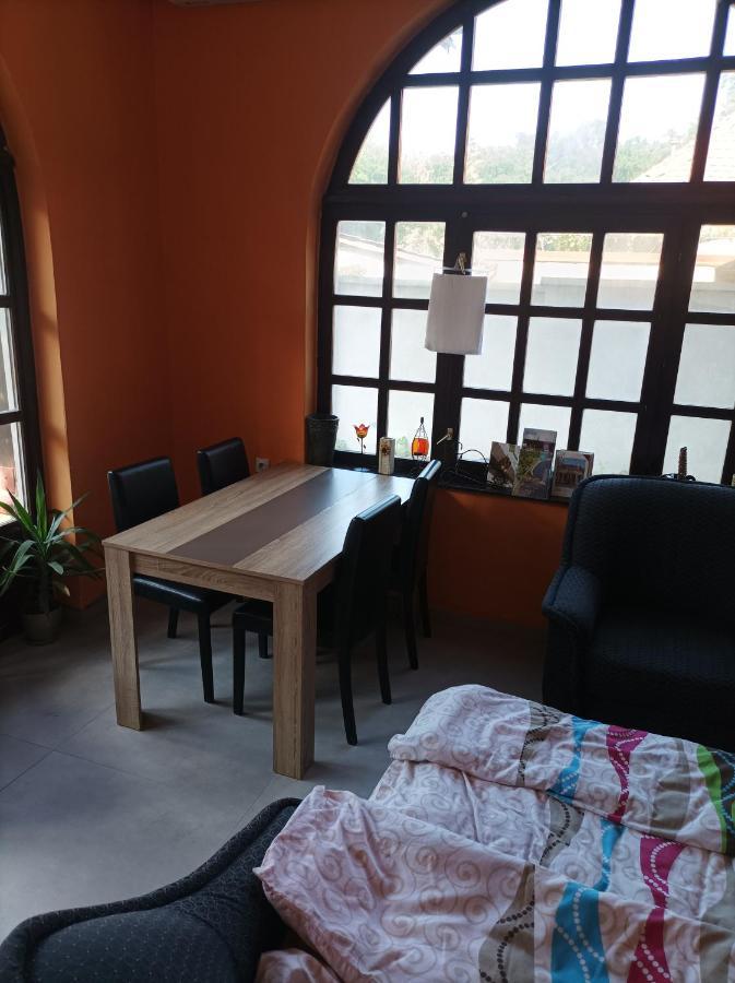 Nemeth Apartman Palić Esterno foto