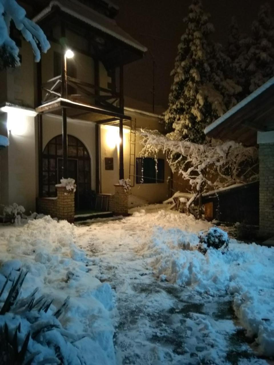 Nemeth Apartman Palić Esterno foto