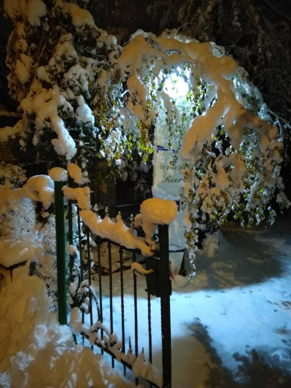 Nemeth Apartman Palić Esterno foto