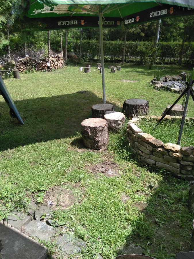 Nemeth Apartman Palić Esterno foto