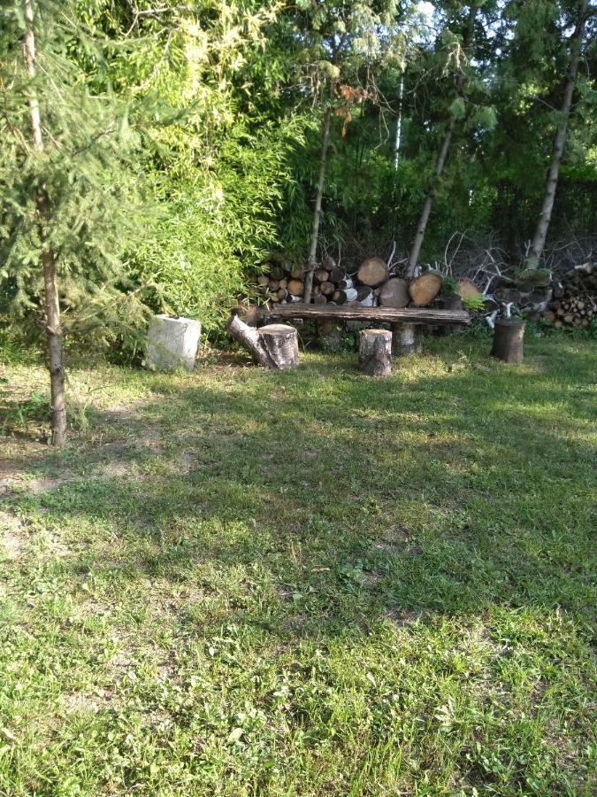 Nemeth Apartman Palić Esterno foto